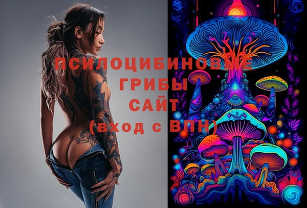 первитин Бородино