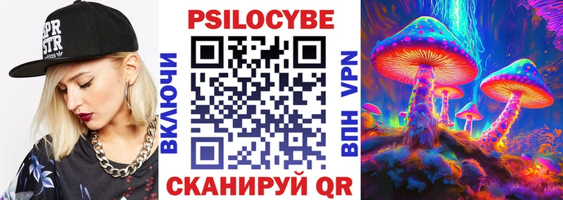 Псилоцибиновые грибы прущие грибы  Новосокольники 